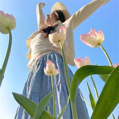 新闻女王2